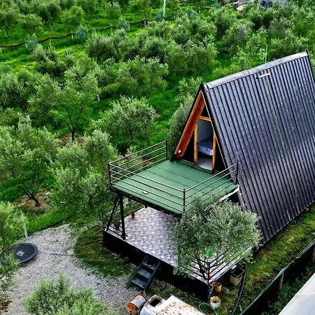 Villa Olivia *