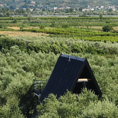 Villa Olivia *