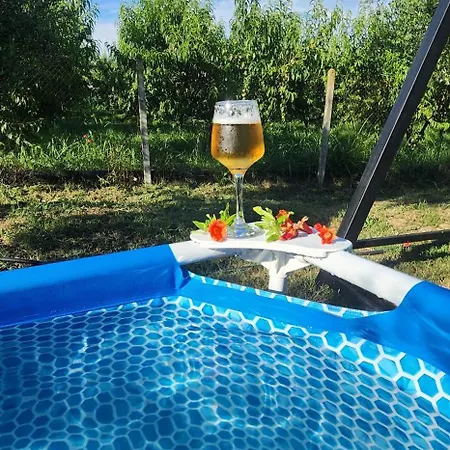 Villa Olivia Elbasan