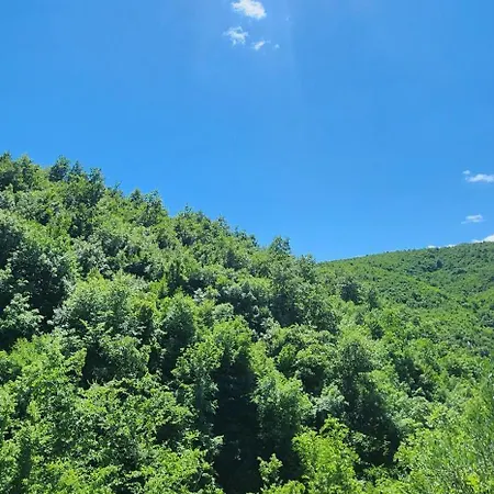 Olivia Villa Elbasan