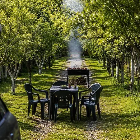 Villa Olivia *