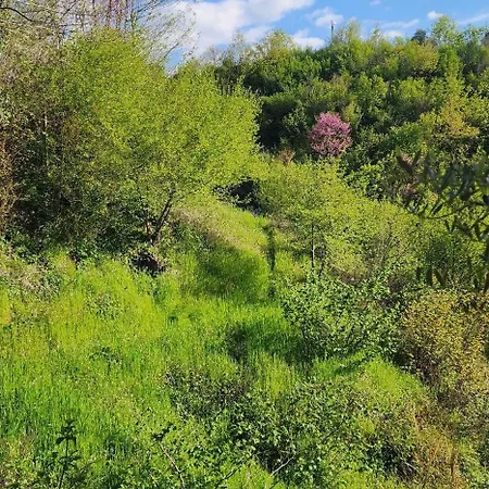 Olivia Villa Elbasan