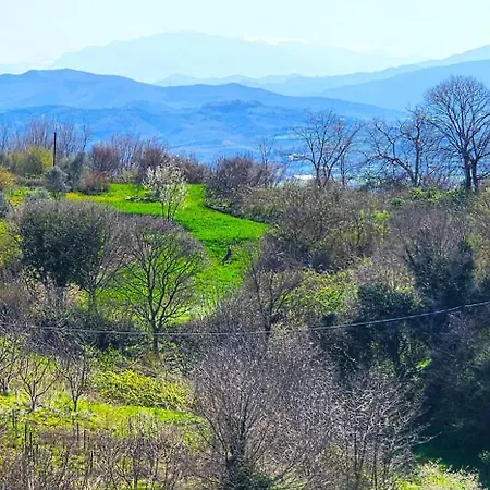 Villa Olivia Elbasan