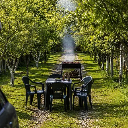 Olivia Villa Elbasan